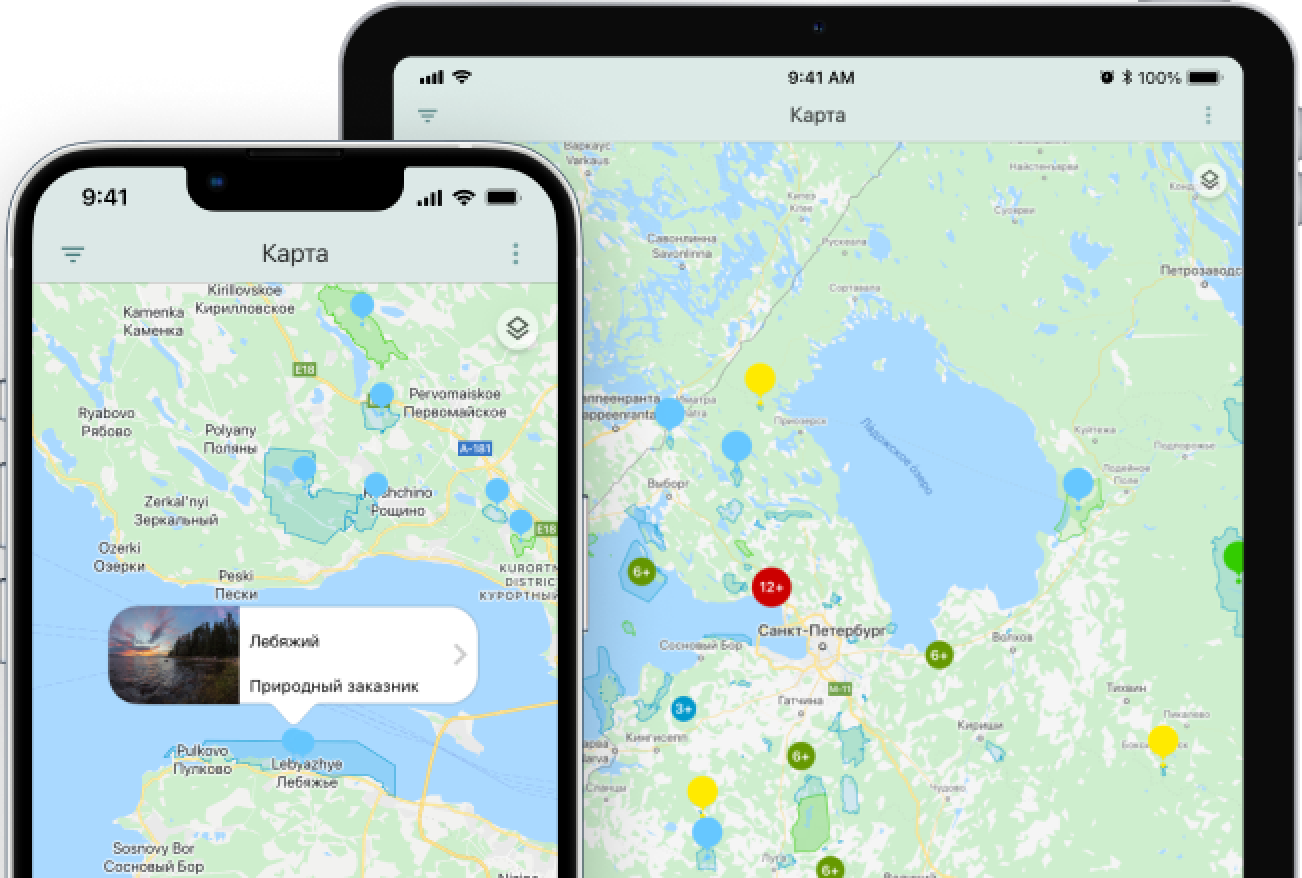 Мобильное приложение на смартфонах